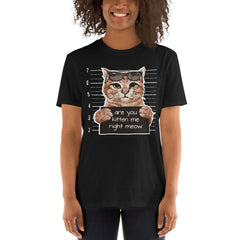 Are You Kitten Me Right Meow T-Shirt