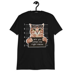 Are You Kitten Me Right Meow T-Shirt