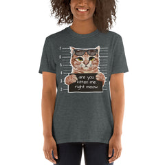 Are You Kitten Me Right Meow T-Shirt