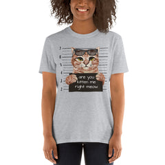 Are You Kitten Me Right Meow T-Shirt