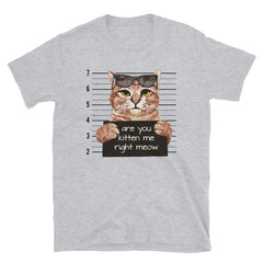 Are You Kitten Me Right Meow T-Shirt