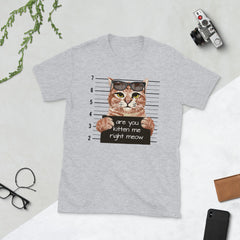 Are You Kitten Me Right Meow T-Shirt