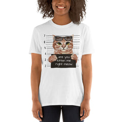 Are You Kitten Me Right Meow T-Shirt