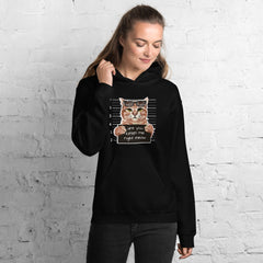 Are You Kitten Me Right Meow Hoodie