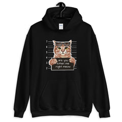 Are You Kitten Me Right Meow Hoodie