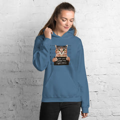 Are You Kitten Me Right Meow Hoodie