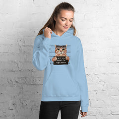 Are You Kitten Me Right Meow Hoodie
