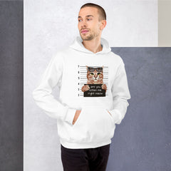 Are You Kitten Me Right Meow Hoodie