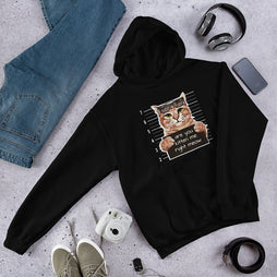 Are You Kitten Me Right Meow Hoodie
